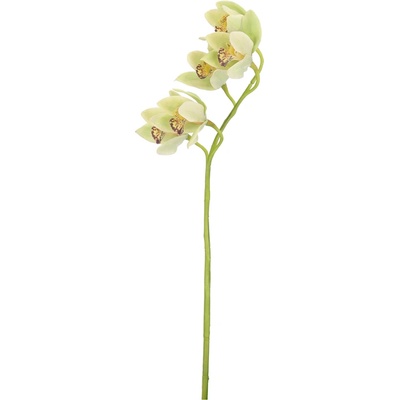 Bizzotto ИЗКУСТВЕНА КЛОНКА cymbidium dyan 66cm З (0170688)