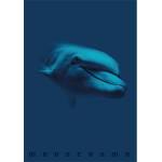 Pigna Monocromo Blue A4 тетрадка с телбод за 38 листа P1111-1856 (P1111-1856)
