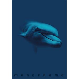 Pigna Monocromo Blue A4 тетрадка с телбод за 38 листа P1111-1856 (P1111-1856)