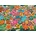 Cobble Hill - Puzzle Tropical Cookies 1000 - 1 000 piese
