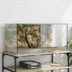 vidaXL Терариум със съхранение Прозрачен 80 x 40 x 40 cm Стъкло (42020392)