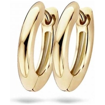 Blush Златни дамски обеци Blush 7165YGO (7165YGO)