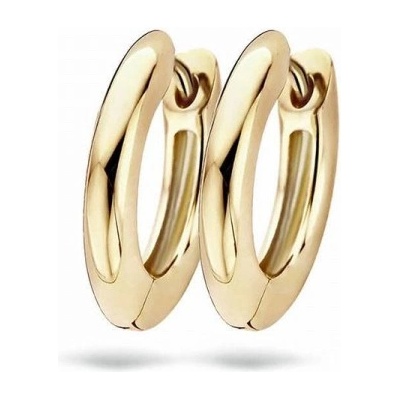 Blush Златни дамски обеци Blush 7165YGO (7165YGO)