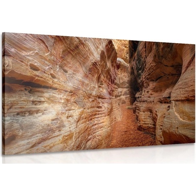 Obraz cestička Grand Canyonem - 120x80