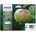 Epson МАСТИЛНИЦА epson t1295 (b-c-m-y) multipack