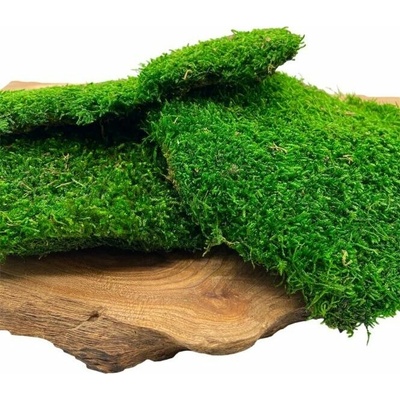 Stabilizovaný plochý mach PREMIUM 2,5kg (cca 1,5m²)