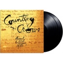 COUNTING CROWS: AUGUST AND EVERYTHING LP