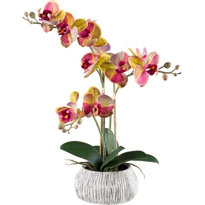 Gasper Umělá orchidej 48 cm, žluto-růžová