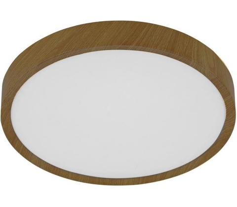 Eglo 98601