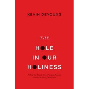 Hole in Our Holiness (ISBN: 9781433541353)