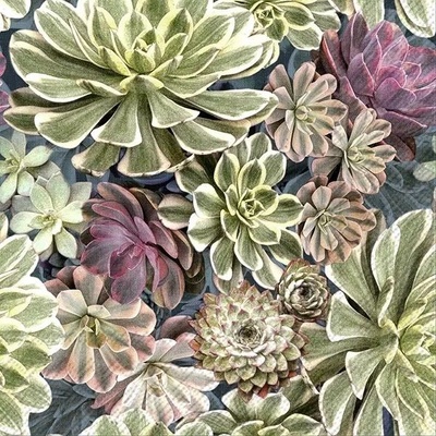 Ubrousek 33x33cm Sukulent – Sleviste.cz