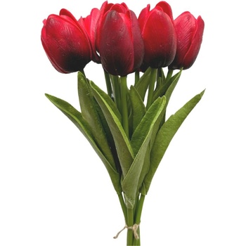 Deejada.cz Pěnový tulipán červený puget 7 ks