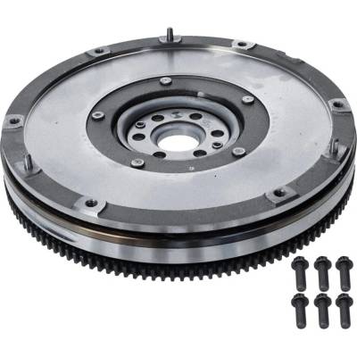 Setrvačník SACHS 6366 000 056 (6366000056)