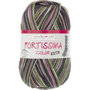 Schoeller + Stahl Fortissima Color 6-fach 90008-159 Grey Multicolour Плетива прежда (90008-159)