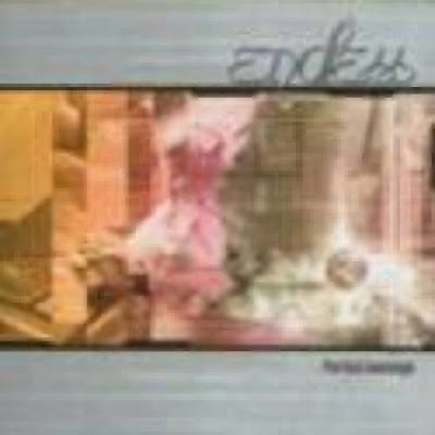 ENDLESS - PERFECT MESSAGE (1CD)
