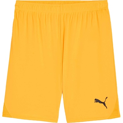 PUMA Teamgoal shorts l