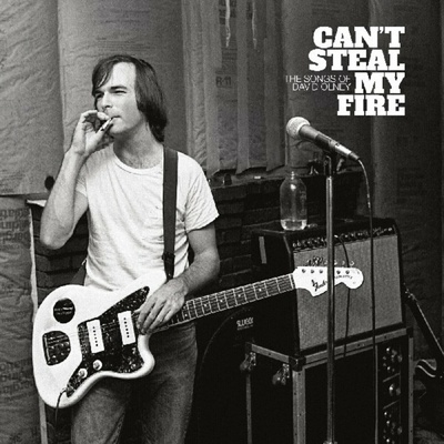 Various Artists - Can’t Steal My Fire - The Songs Of David Olney 2 LP