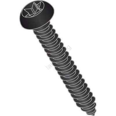 Bath deluxe Комплект от 50 винта t25, 12 мм, черно лакирани (bt0109)