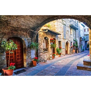 DIMEX ART Флизелинов фототапет асиси умбрия 375 x 250 см