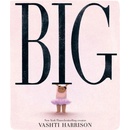 Big - Vashti Harrison