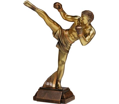 Soška KICKBOX