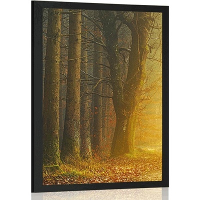 Plakát cesta v lese - 60x90 no frame