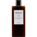 Noberu Scalp & Relax Hair Eucalyptus šampon 250 ml