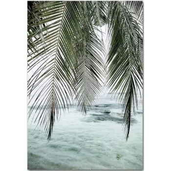 Image 1 of Палми 30/40 см