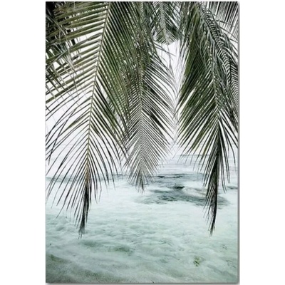 Палми 30/40 см