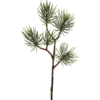 Borovice větev tmavozelená V28 cm