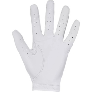Under Armour UA Iso-Chill Golf Glove