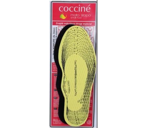 Coccine Other
