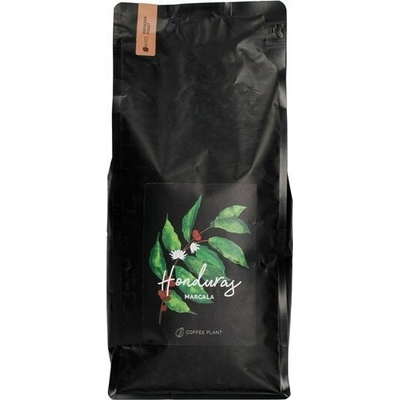 COFFEE PLANT Honduras Marcala 1 kg