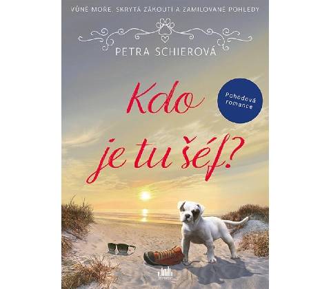 Kdo je tu šéf?