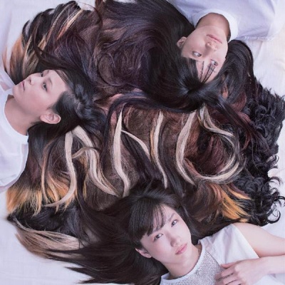 Tricot - A N D (Limited Edition) (Coloured) (LP) (0634457063488)