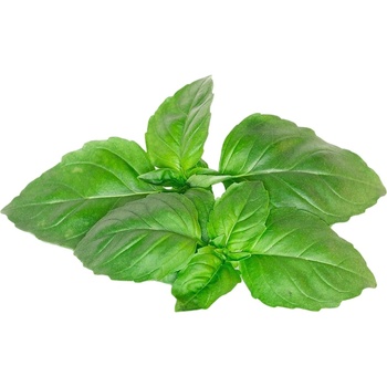 Click & Grow Семена Click and Grow - Марсилски босилек, 3 пълнителя (SGR99X3)