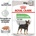 Royal Canin CCN Digestive Care 12x85 g