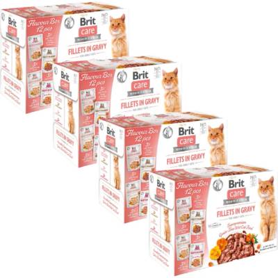 BRIT CARE Kočičí filety v omáčce mix 48 x 85 g