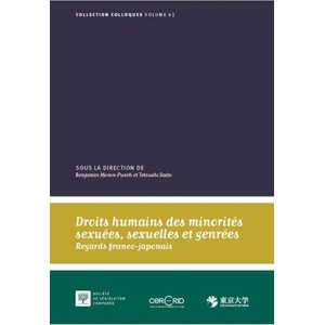 Droits humains des minorités sexuées, sexuelles et genrées | Saito, Moron-Puech (2025)