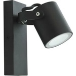 Polux Pino SA1436