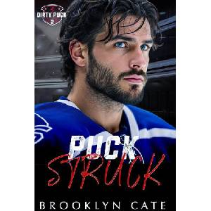 Puck Struck (ISBN: 9798265272690)