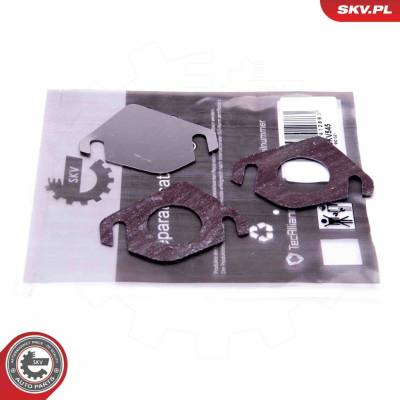 Súprava na opravu, ventil AGR ESEN SKV 14SKV545
