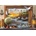 Bluebird Puzzle - Puzzle Davison: Marine to Life 1000 - 1 000 piese