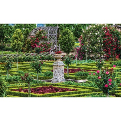 ForWall Fototapeta Garden flowers vlies 104 x 70,5 cm