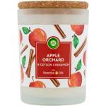 Air Wick Essential Oils apple orchard & ceylon cinnamon 185 g