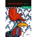 Sám mezi ženami