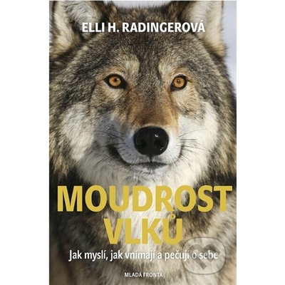 Moudrost vlků - Jak myslí, jak vnímají a pečují o sebe - Ell...
