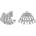 Rosefield дамски родирани обеци JECCS-J1030 Rosefield | Mnogotsveten | ЖЕНИ | UNI