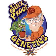 Jinxproof Genetics Best Friend OG semena neobsahují THC 6 ks