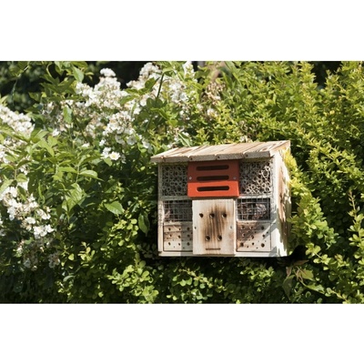 Windhager Zur Linde, 6991 – Zboží Dáma